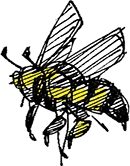 decorative bee 4 - site hero ornament